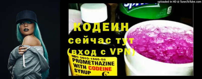 мега онион  площадка клад  Шумерля  Кодеиновый сироп Lean Purple Drank  цены наркотик 